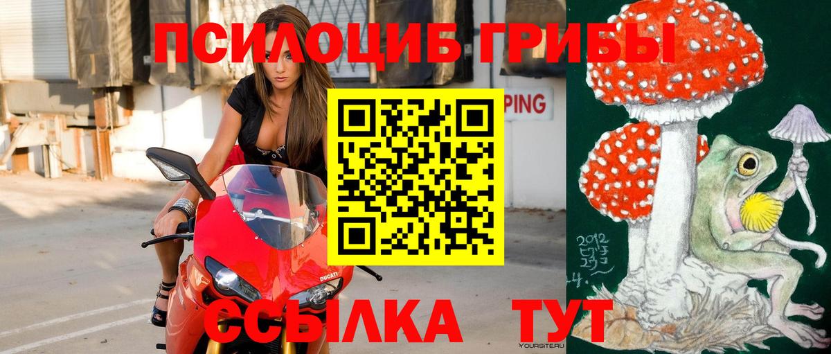 Галлюциногенные грибы MAGIC MUSHROOMS  Вход с VPN  Родники  Псилоцибиновые грибы Magic Shrooms 