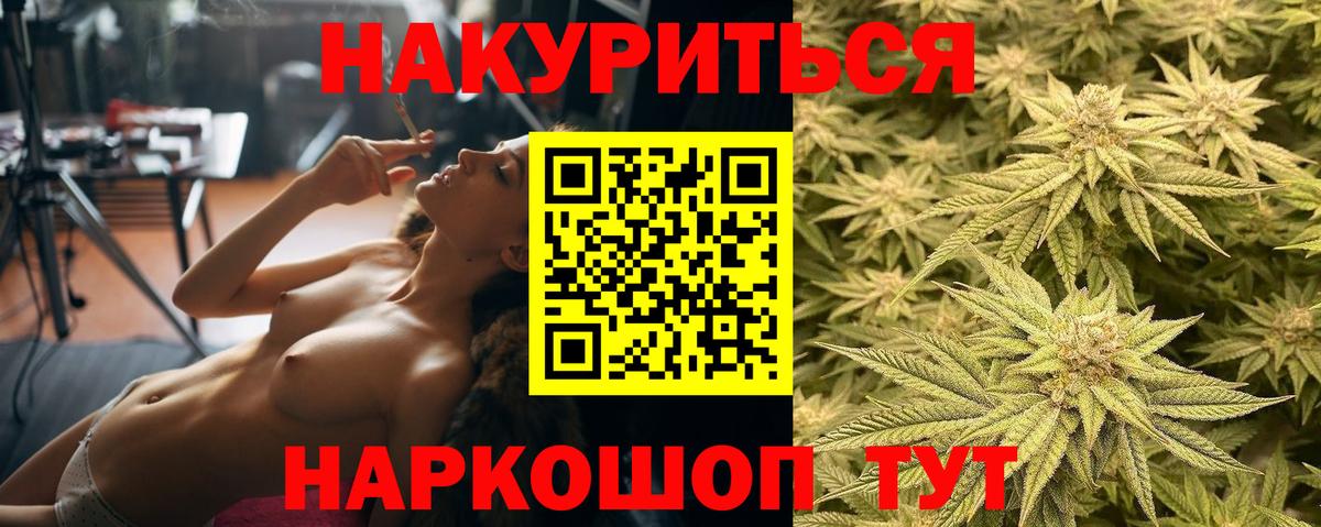 Марихуана сатива  Конопля план  Конопля Ganja  Родники  Бошки марихуана AK-47  Вход с VPN 